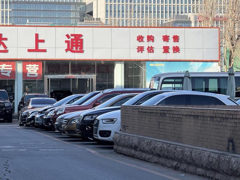天津新车市场动态解析